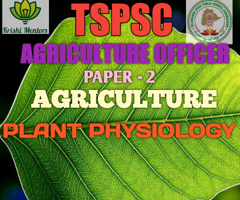 Plant Physiology